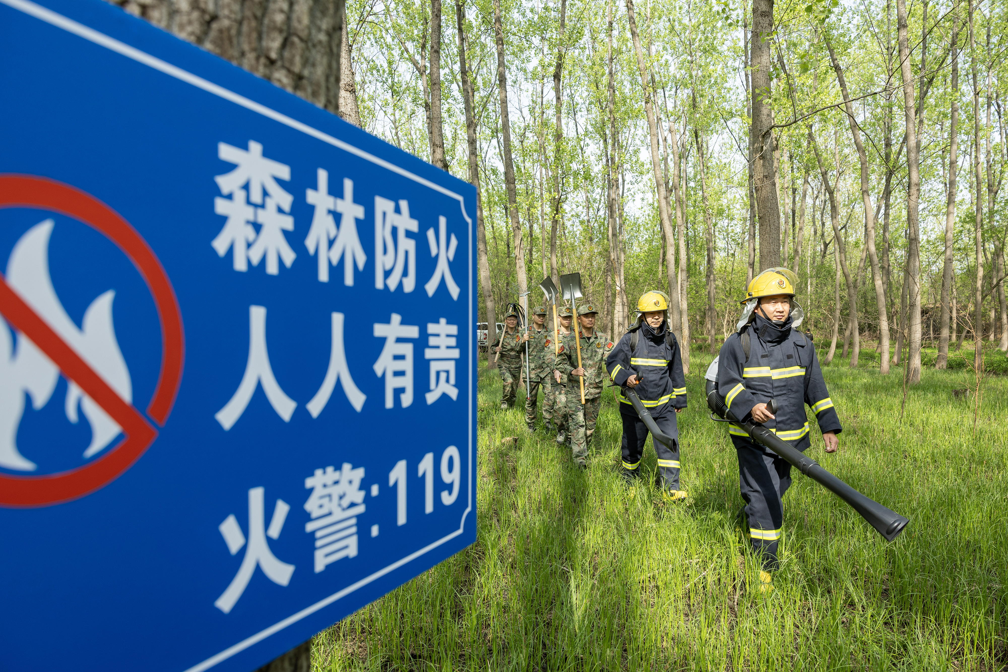 2024年4月9日，合肥市大房郢水庫(kù)水源保護(hù)地廬陽(yáng)經(jīng)濟(jì)開(kāi)發(fā)區(qū)段，基干民兵正在林間巡查火災(zāi)隱患。