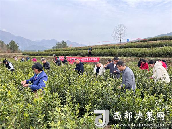 20240604155029709-89-e842f.jpg 20240604155029709-89-e842f.jpg