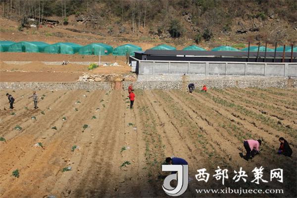 20240604155431647-11-a4471.jpg 20240604155431647-11-a4471.jpg