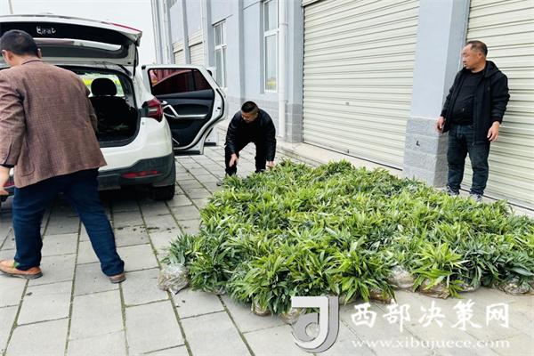 20240604155431690-75-014f0.jpg 20240604155431690-75-014f0.jpg