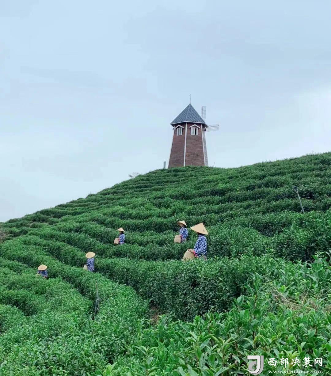 20240618150620423-59-c27fd.jpg 20240618150620423-59-c27fd.jpg