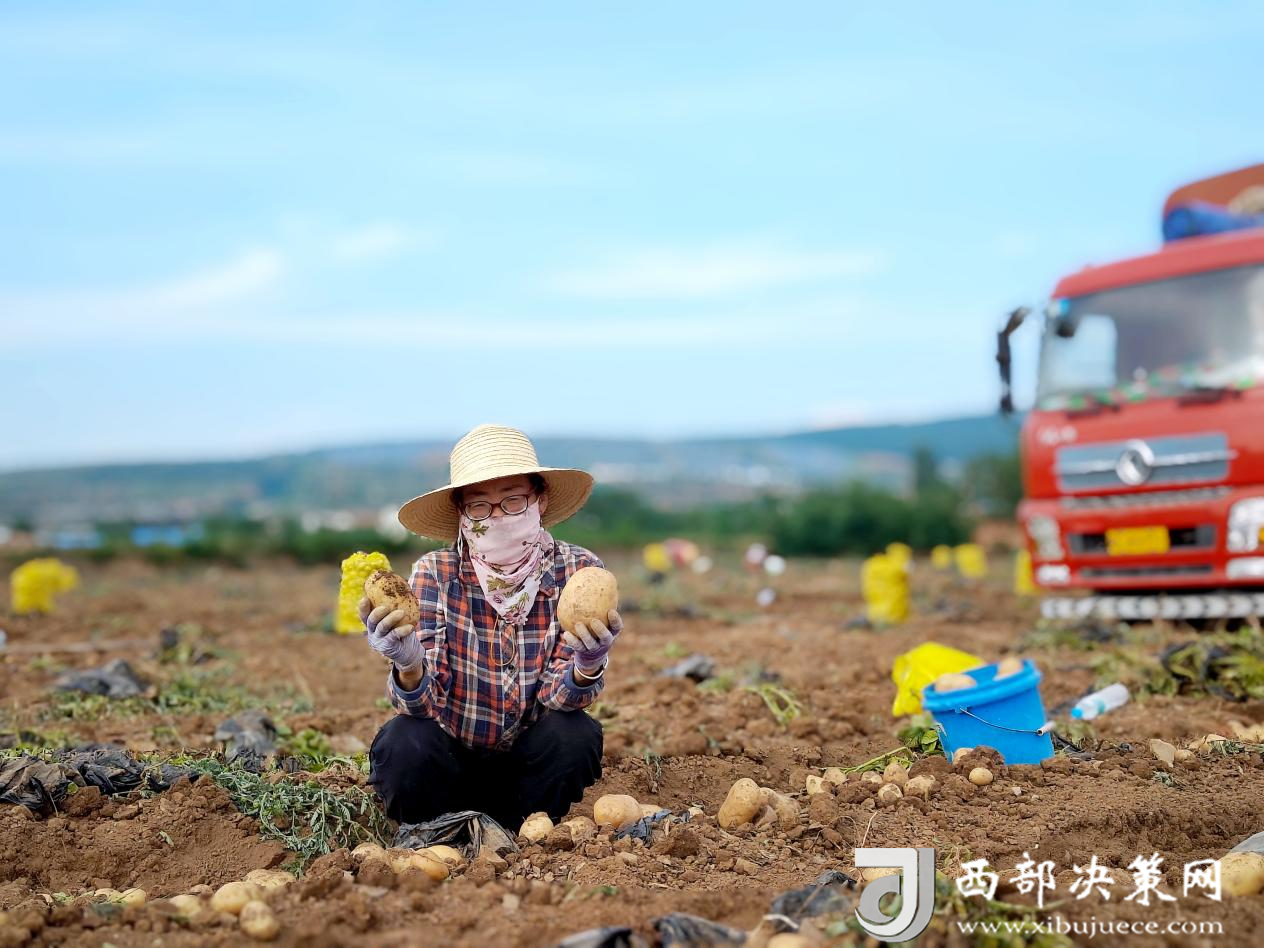 20240705173609407-74-5773e.png 20240705173609407-74-5773e.png