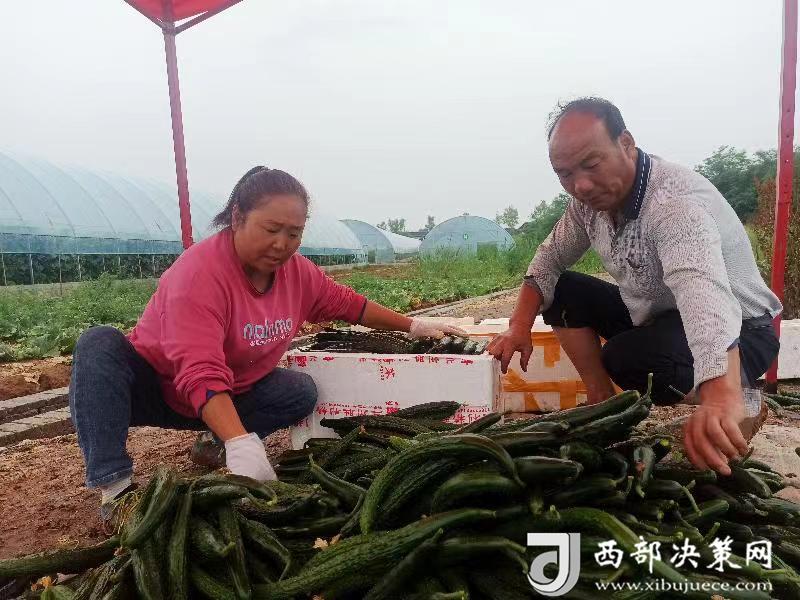 20240708171410044-15-2ac56.jpg 20240708171410044-15-2ac56.jpg