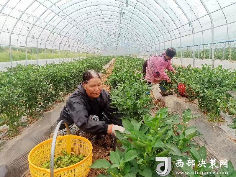 20240708171426549-44-e8c97.jpg 20240708171426549-44-e8c97.jpg