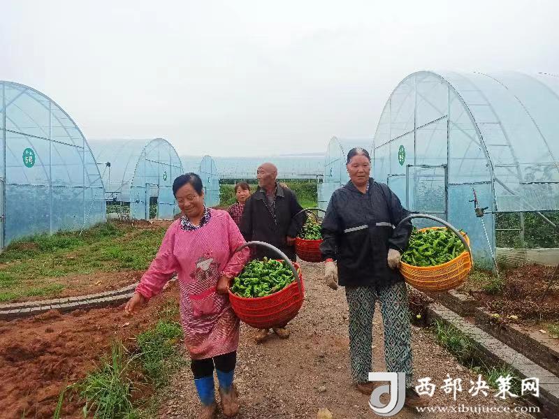 20240708171443399-5-a6543.jpg 20240708171443399-5-a6543.jpg