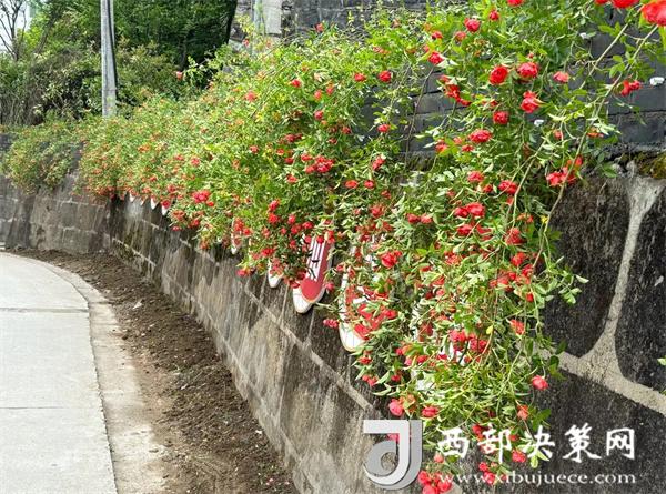 20240709142635840-7-49d09.jpg 20240709142635840-7-49d09.jpg