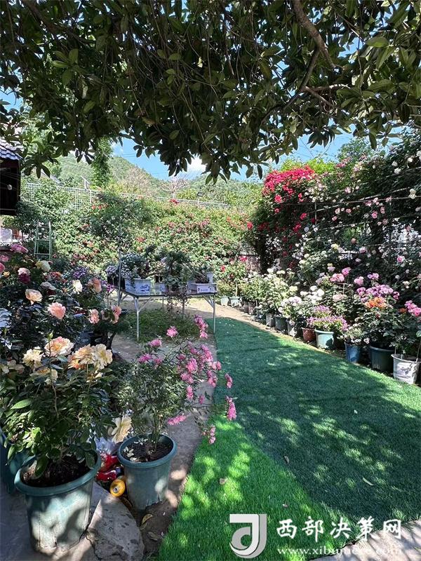 20240709142636021-66-51ec5.jpg 20240709142636021-66-51ec5.jpg