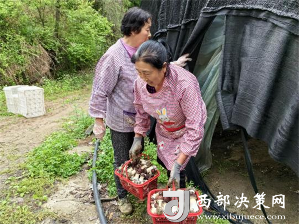 20240709142637334-5-90be3.png 20240709142637334-5-90be3.png