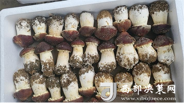 20240709142645223-59-3cc4a.png 20240709142645223-59-3cc4a.png