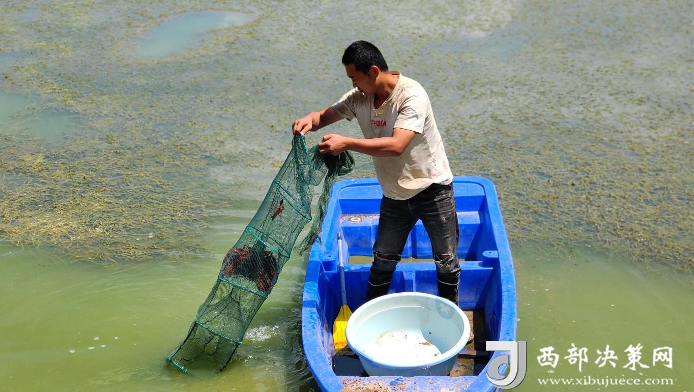 0c5a1187e3d1894ddb8e7dec9120846