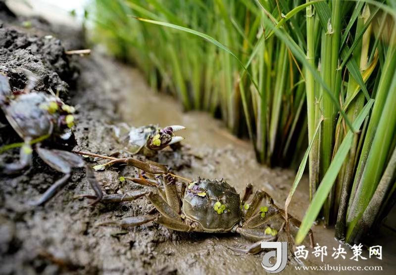 2ba7d228e4443634ed2d8a5adfbad45