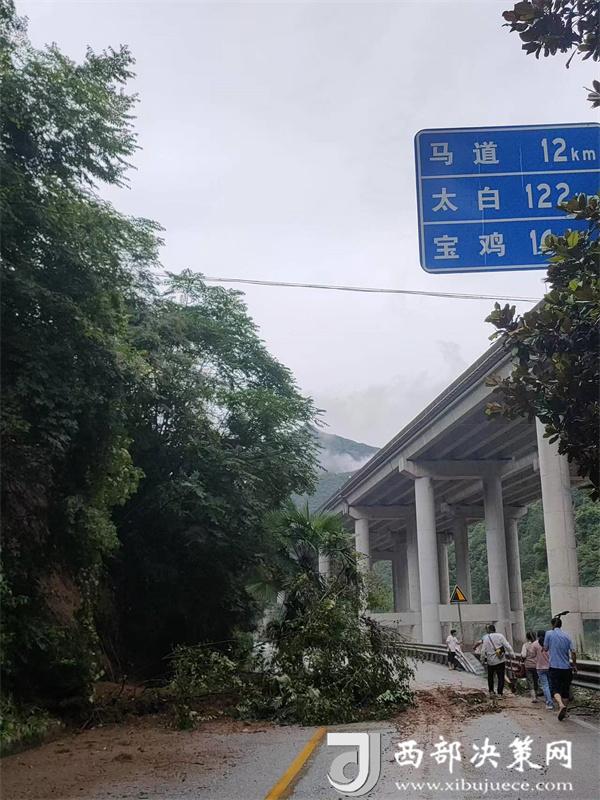 20240718154356710-22-0745c.jpg 20240718154356710-22-0745c.jpg