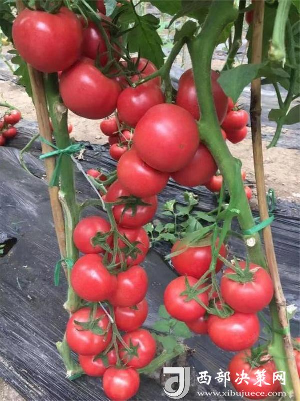 20240722150924615-79-d5fe4.jpg 20240722150924615-79-d5fe4.jpg