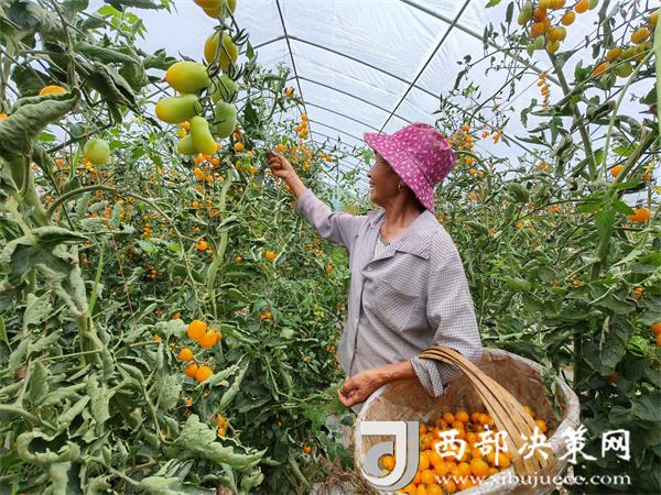 20240722150924722-61-4dcd1.jpg 20240722150924722-61-4dcd1.jpg