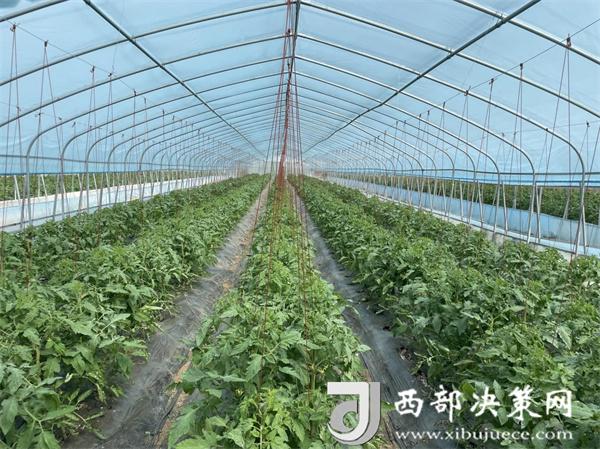 20240722150924795-24-e476c.jpg 20240722150924795-24-e476c.jpg