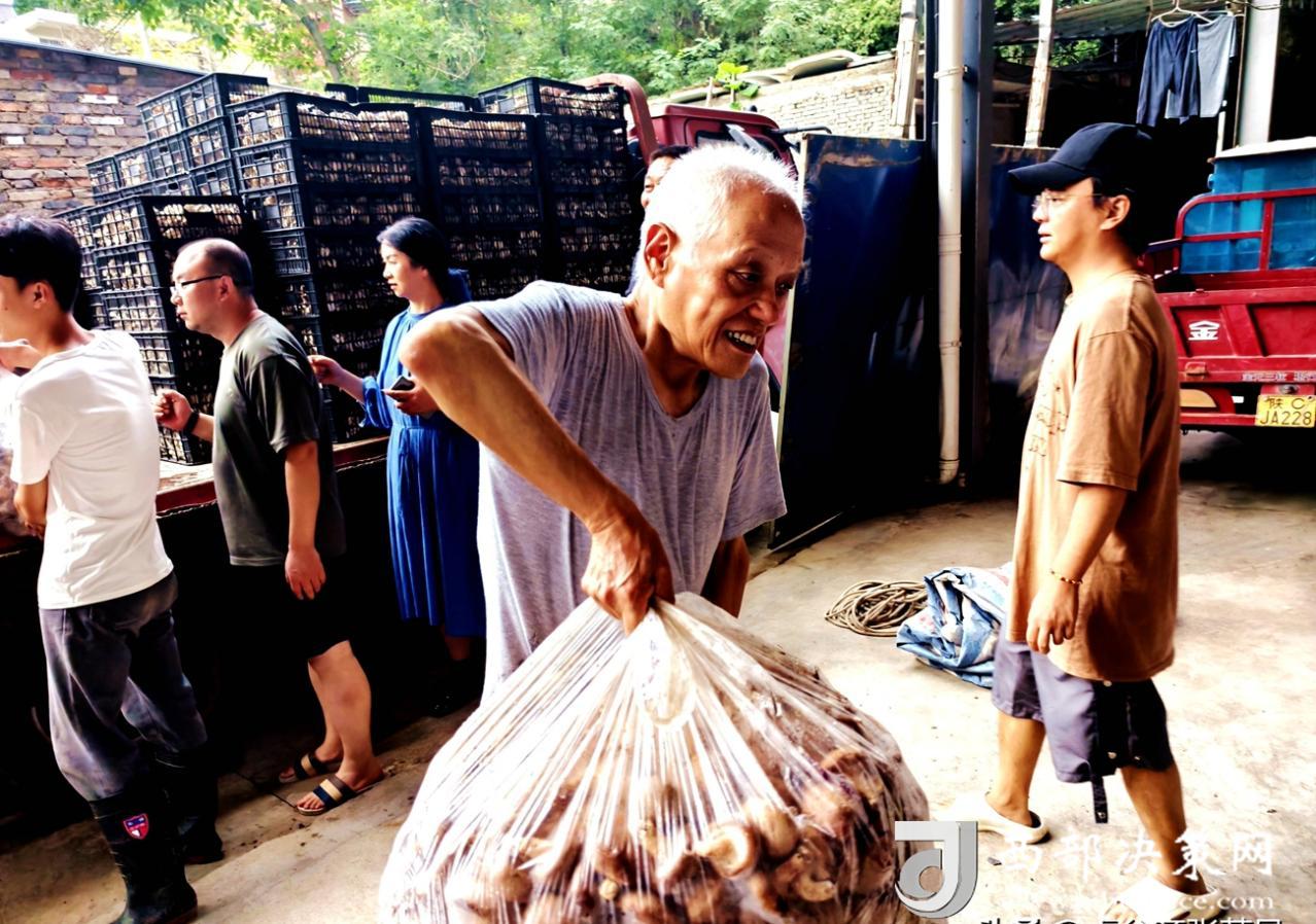 774435a8160f4c439fd87d491a436e7a~noop