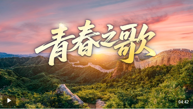 20250504121010268-81-86db4.png
