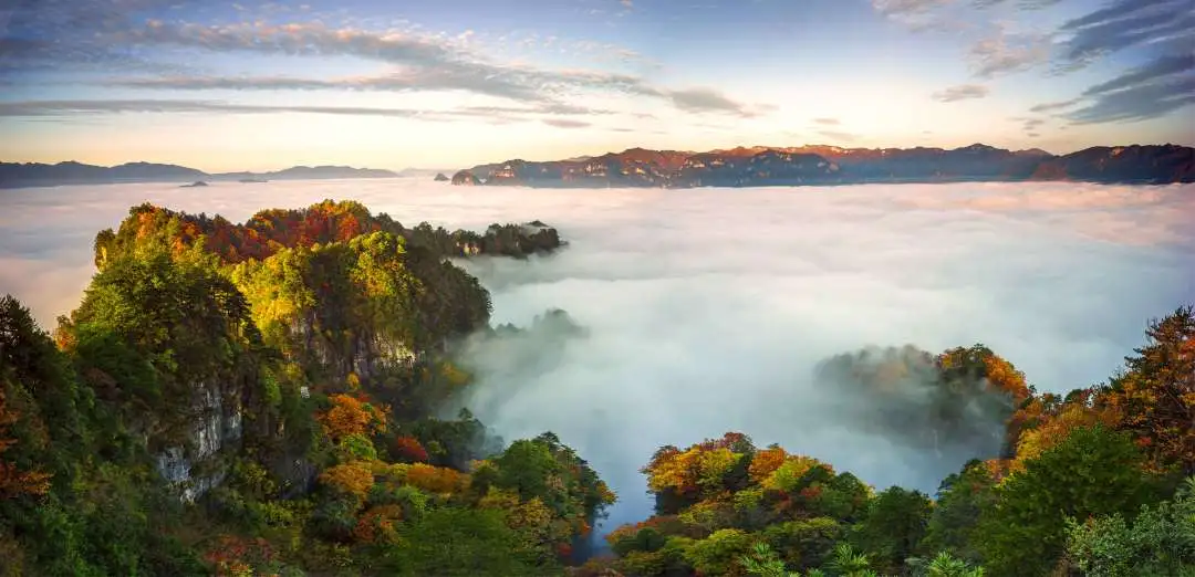 光雾山国家AAAAA级旅游景区1.jpg