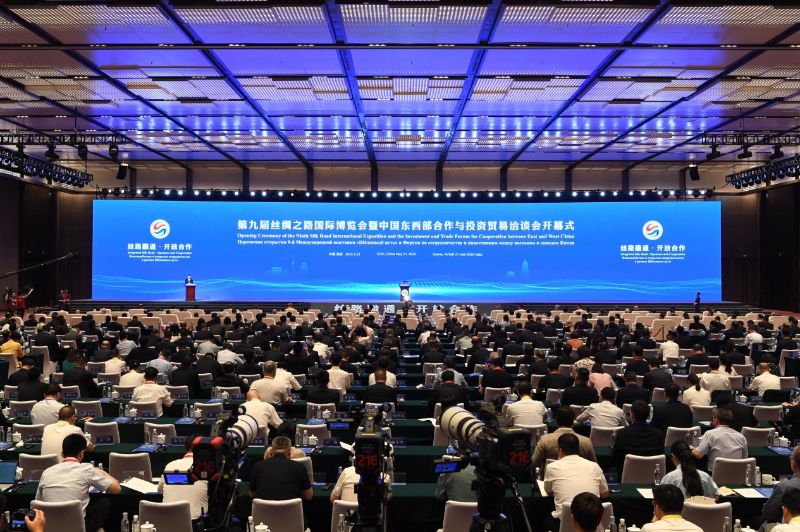 图片11