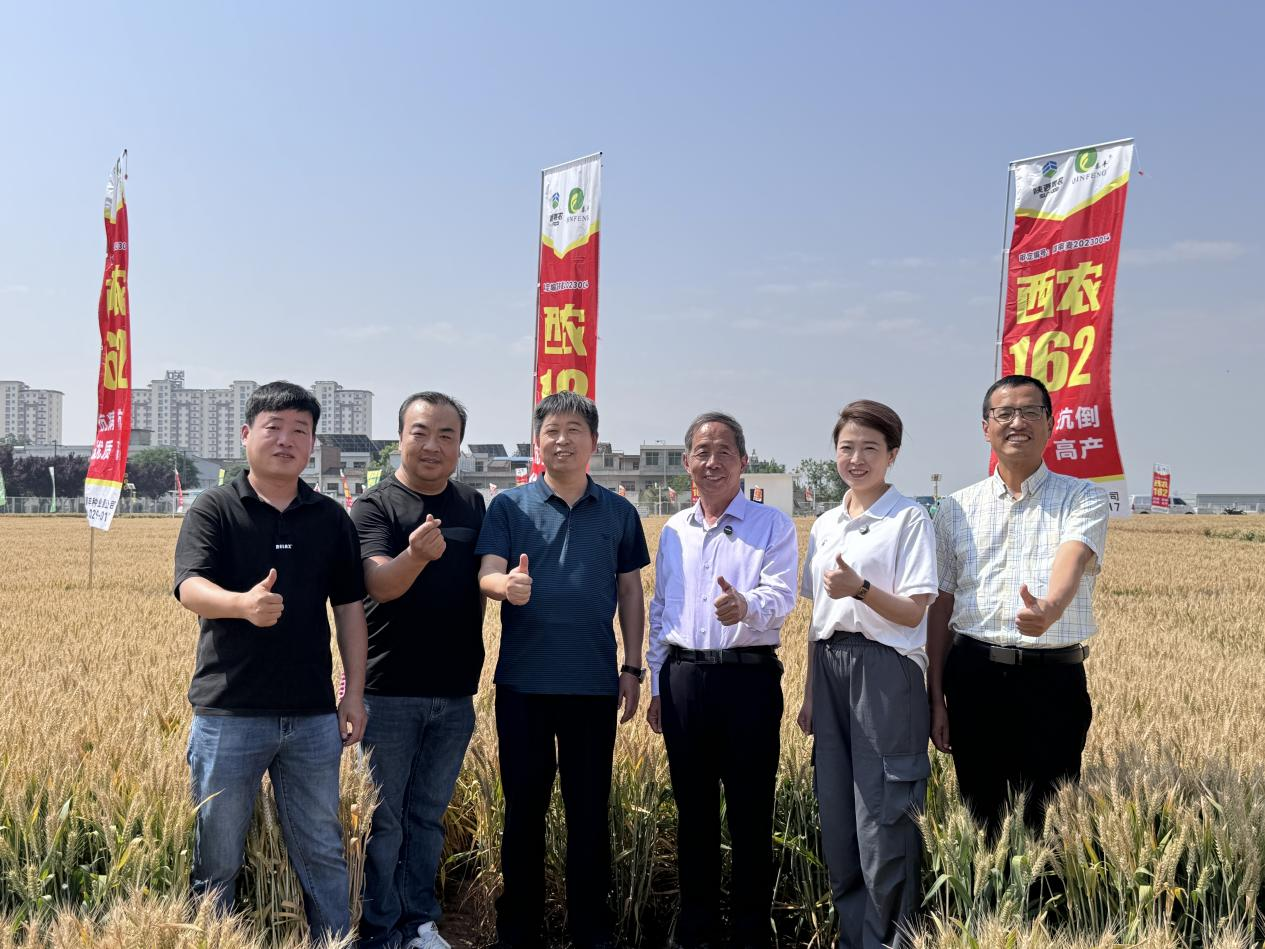 关中黄淮麦区小麦良种云观摩活动在陕启动 专家田间解码 “粮食芯片” 创新成果_fororder_图片1