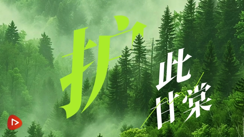 20250608110540122-23-c2bf7.png