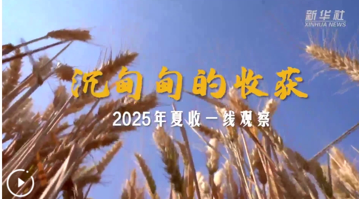 20250610150714425-42-2abcd.jpeg