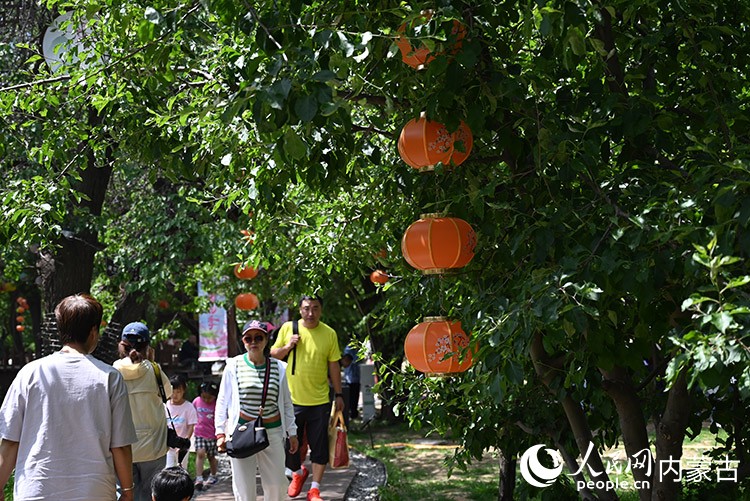 游客在烏素圖杏花谷散步游玩。人民網(wǎng)記者 劉藝琳攝