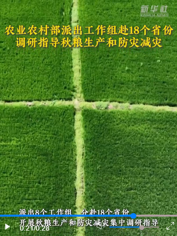 20250829173235382-81-deaff.png 20250829173235382-81-deaff.png