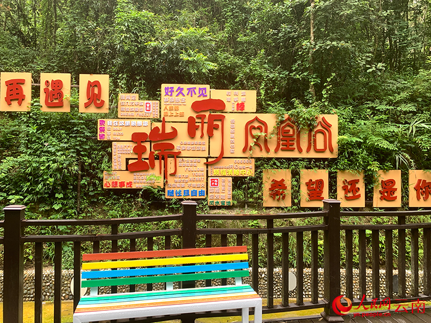 红光移民村旁的林下康养步道。人民网-王娴摄