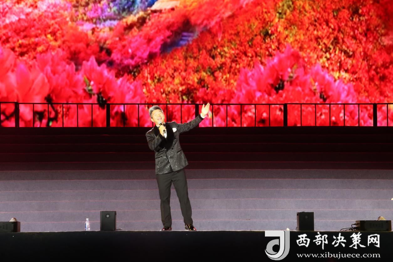 杜鵬鵬