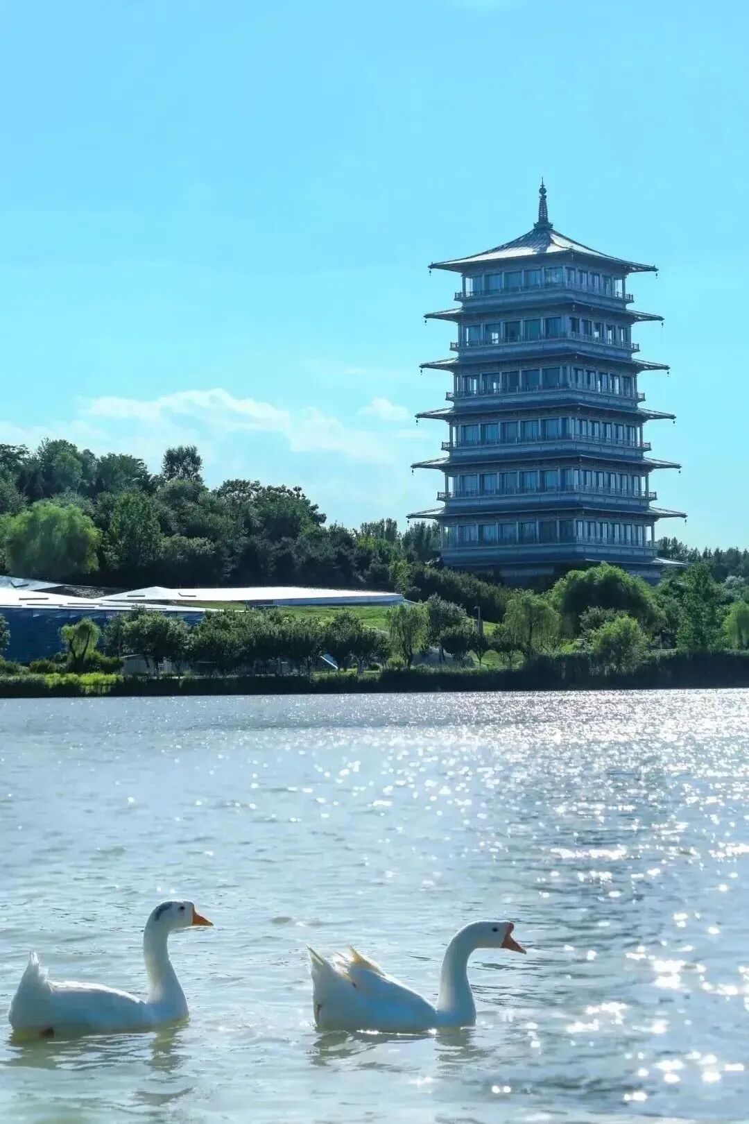 微信圖片_20240430110324.jpg