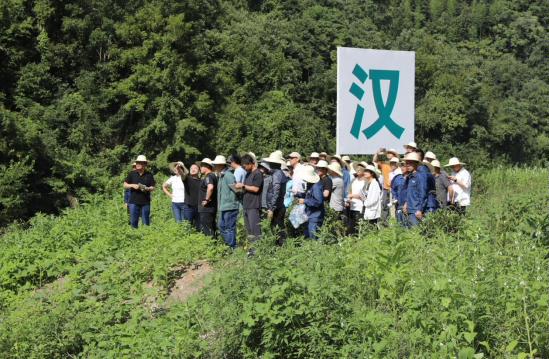 2025年，陜西省漢濱抽水蓄能電站預(yù)可研報告審查會召開，會前各單位代表到漢濱抽蓄現(xiàn)場進(jìn)行實地查勘【攝 崔航】