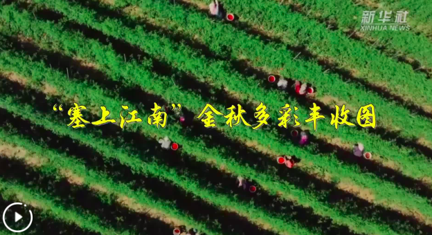 20250929171215186-61-e2467.png