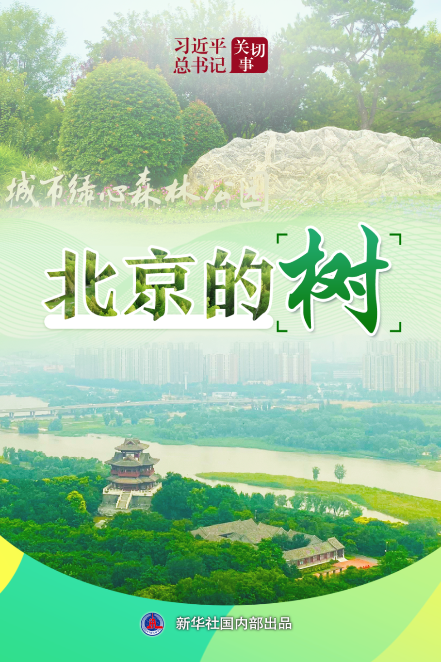 20251009203140456-37-ecd7c.png_scale.png