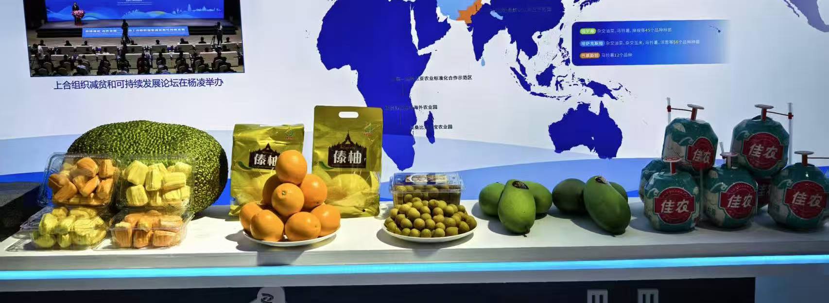 20251027104805516-66-9fdec.jpg 20251027104805516-66-9fdec.jpg