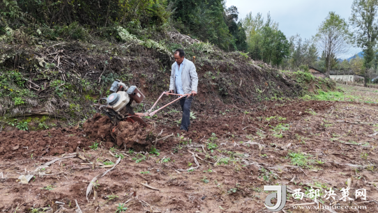 20251101200526787-1-46502.png 20251101200526787-1-46502.png