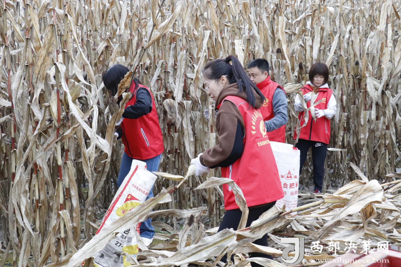 20251110115744670-18-307d9.jpg_scale.jpg 20251110115744670-18-307d9.jpg_scale.jpg