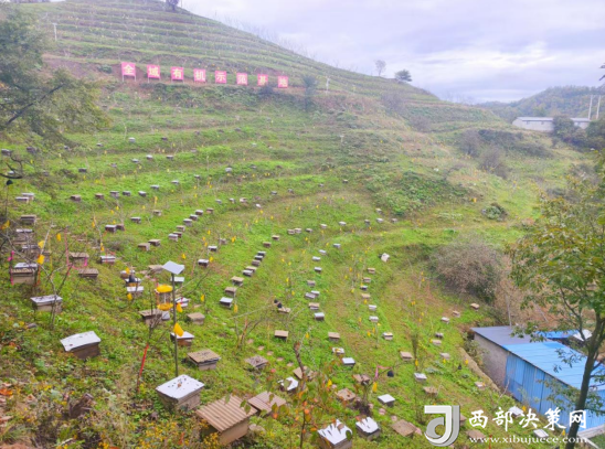 20251110133138387-18-7c36c.png 20251110133138387-18-7c36c.png