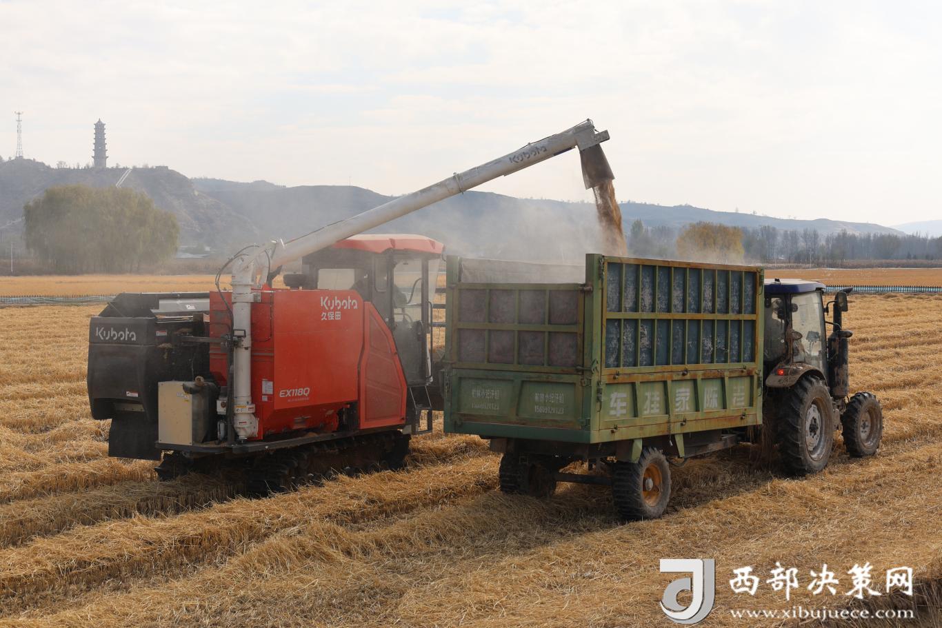 20251113170902436-96-ef904.JPG_scale.jpg 20251113170902436-96-ef904.JPG_scale.jpg