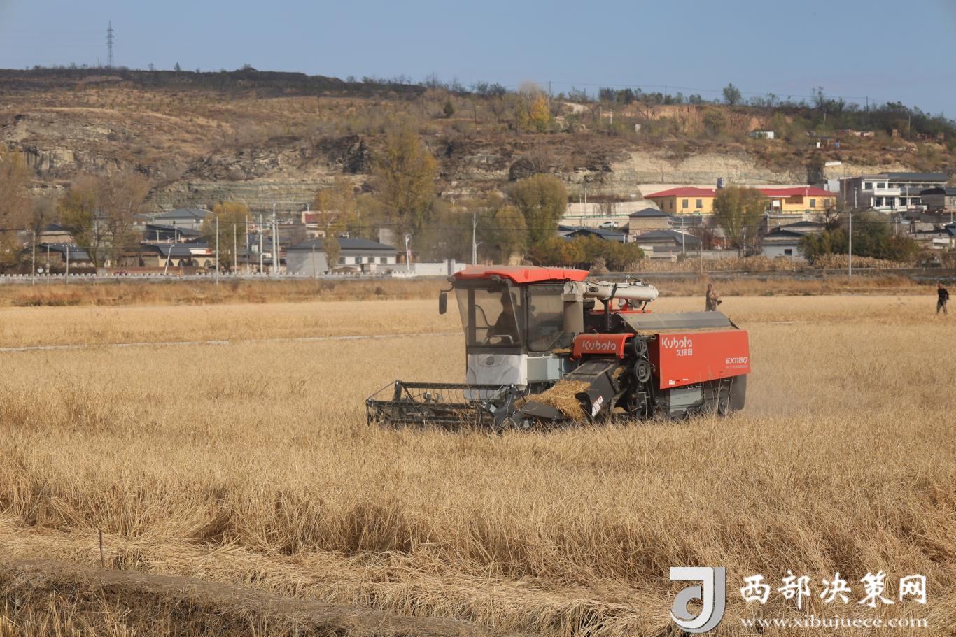 20251113170902590-6-18f69.JPG_scale.jpg 20251113170902590-6-18f69.JPG_scale.jpg