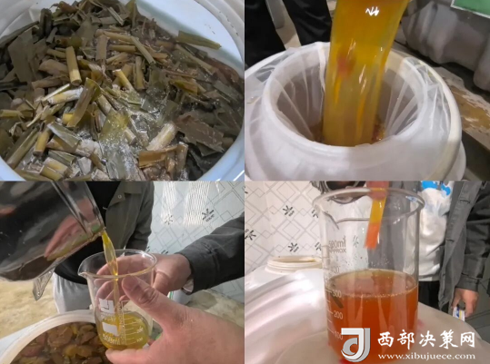 20251115141833920-52-270d3.png 20251115141833920-52-270d3.png