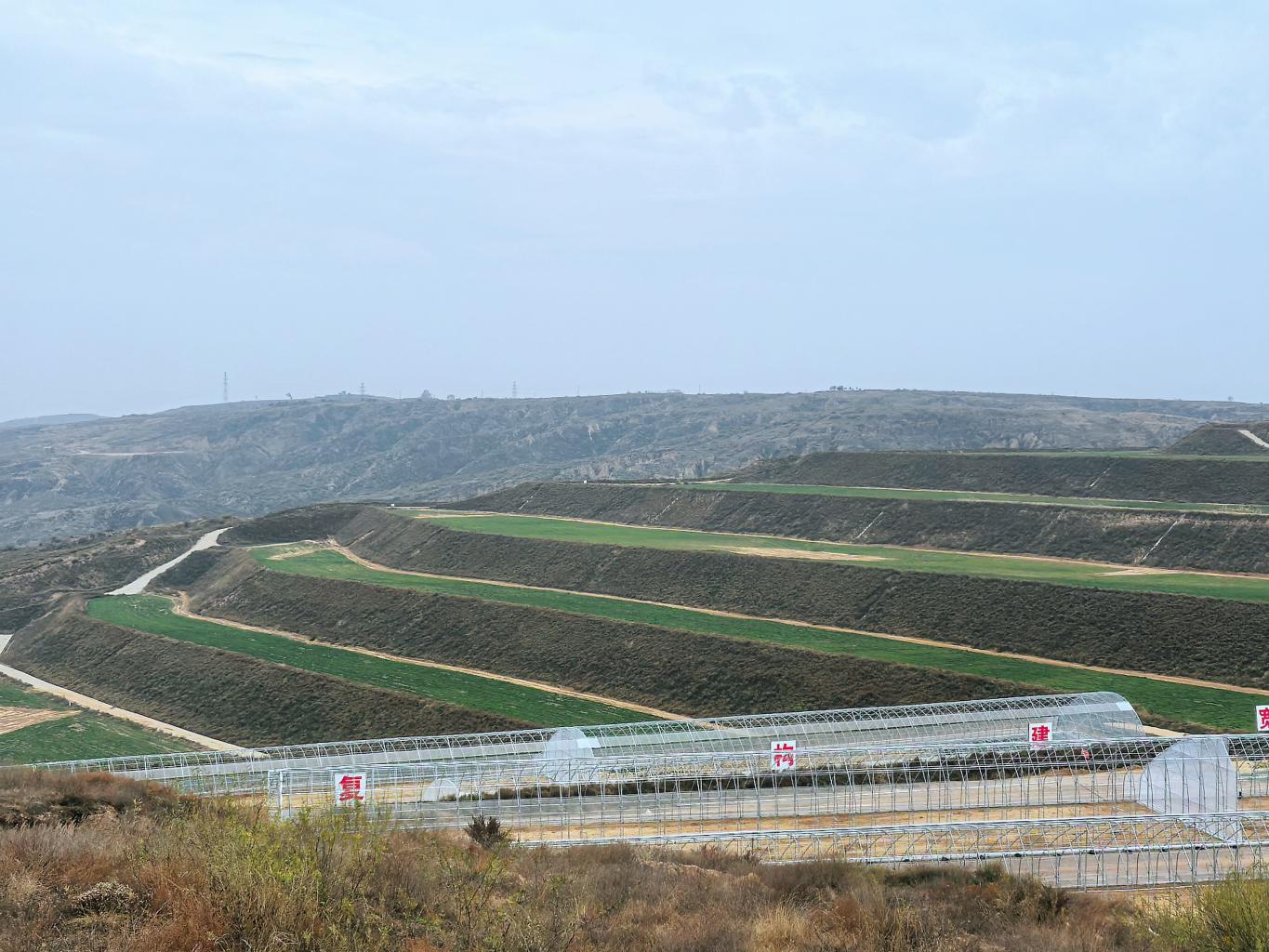 20251117172128566-38-48685.jpg_scale.jpg 20251117172128566-38-48685.jpg_scale.jpg