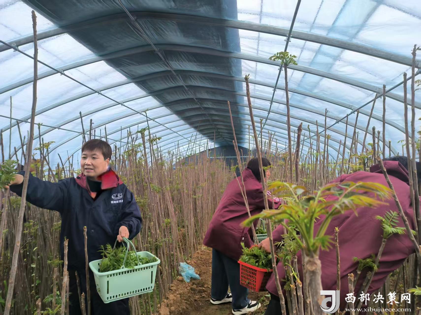 cace480d03cd7cf21bf928855fd86ae7